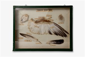 Image description is not available for 2011.47.1